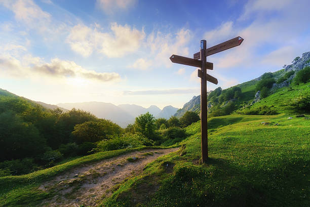 Discover Your Path